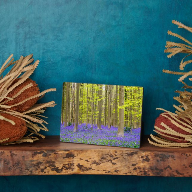 Plaque Photo Printemps dans la forêt bleue (Côté)