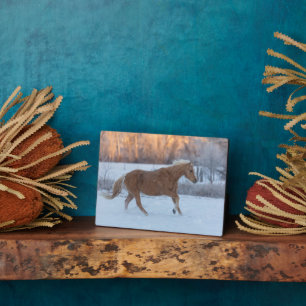 Plaque Photo Promenade à cheval en hiver sur Hideout Ranch