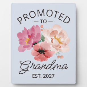 Plaque Photo Promue Grand-Mère Estimé 2027 Nouvelle Nana VI