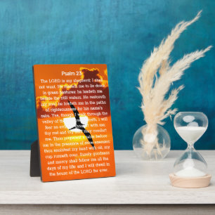 Plaque Photo Psaume 23 Orange Sunset Seagull