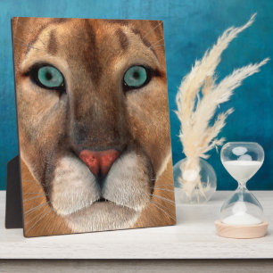 Plaque Photo Puma
