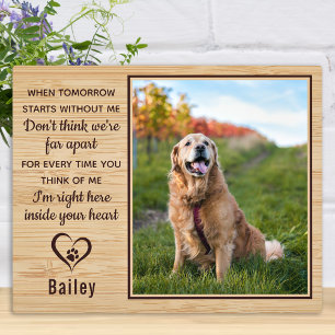 Plaque Photo Quand demain commence sans moi Pet Memorial