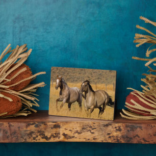 Plaque Photo Ranch Living at The Ponderosa Ranch