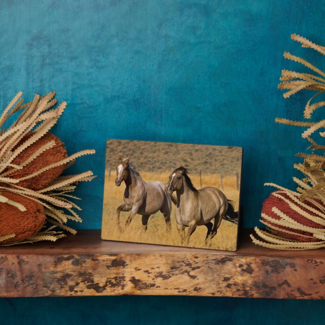Plaque Photo Ranch Living at The Ponderosa Ranch (Côté)
