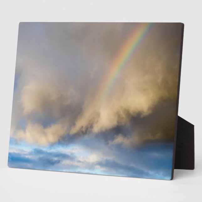 Plaque Photo rébellion arc-en-ciel (Côté)