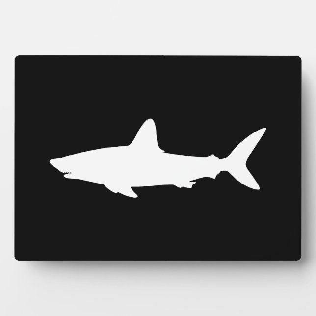 Plaque Photo Requin qui Nage (Devant)