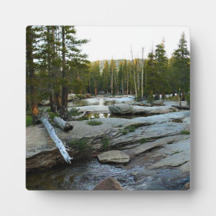 Plaque Photo Rivière Tuolumne près du camping, Yosemite, CA