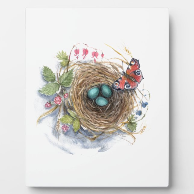 Plaque Photo Robin Nest (Devant)
