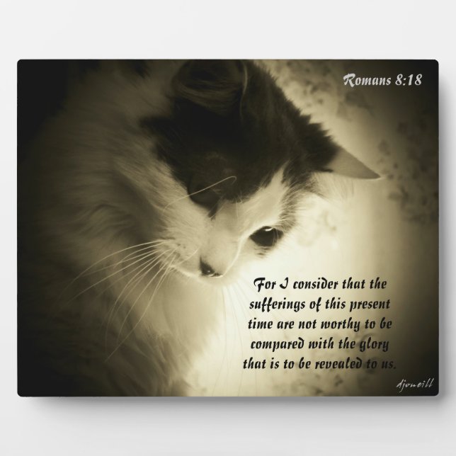 Plaque Photo Romains 8:18 (Devant)