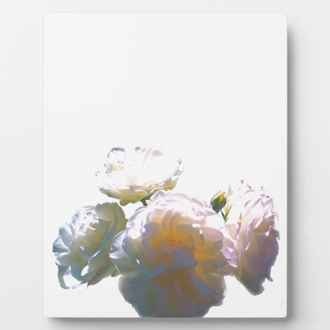 Plaque Photo Romantique blanc, jaune, orange, orange, ambre ros (Devant)