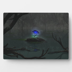 Plaque photo Rose bleu