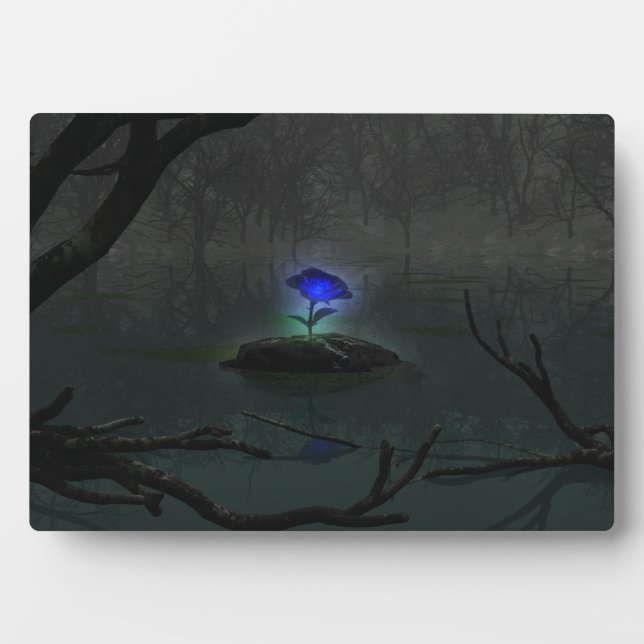 Plaque photo Rose bleu (Devant)