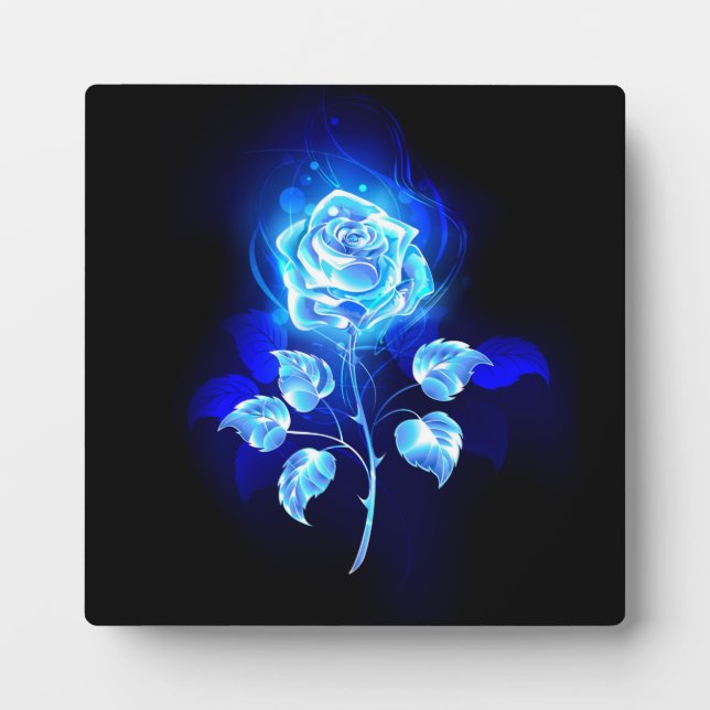 Plaque Photo Rose bleu brûlant (Devant)