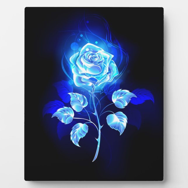 Plaque Photo Rose bleue brûlante (Devant)