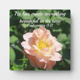 Plaque Photo Rose Floral Photo Texte Inspirant Ecclesiastes