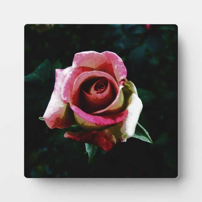 Plaque Photo Rose rouge peinte à l'huile (Devant)