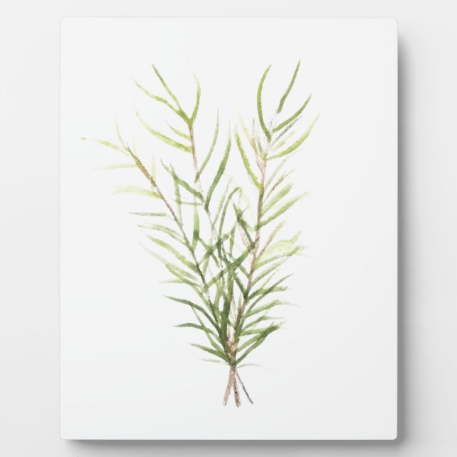 Plaque Photo Rosemary herbs (Devant)