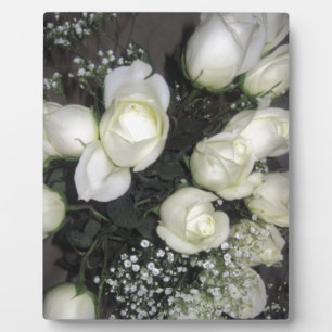 PLAQUE PHOTO ROSES BLANCHES