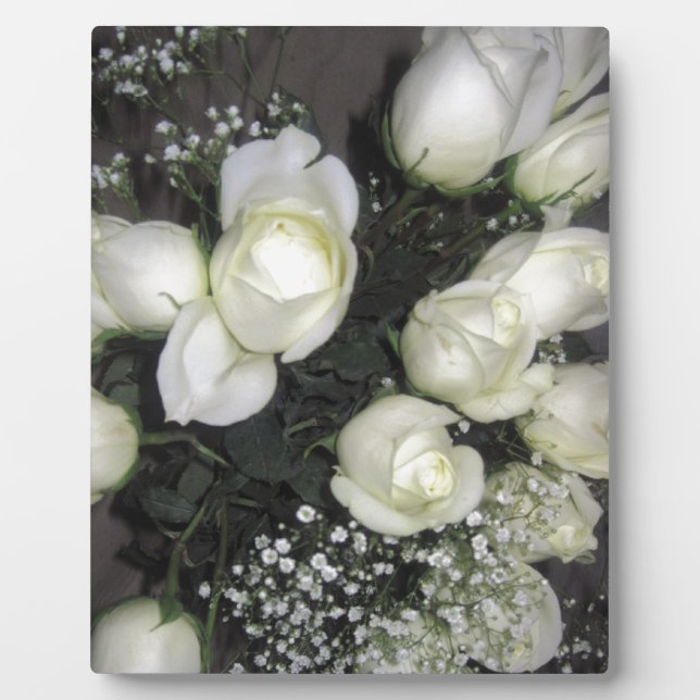 PLAQUE PHOTO ROSES BLANCHES (Devant)
