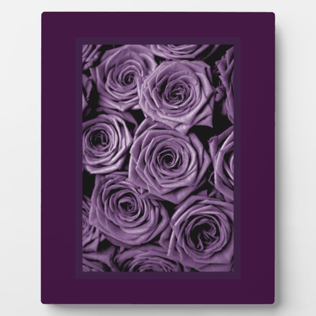 Plaque Photo Roses violets (Devant)