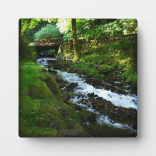 Plaque Photo Runoff from Wahkeena Falls