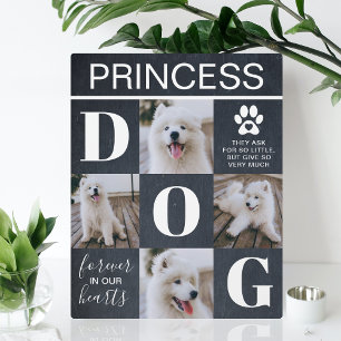 Plaque Photo Russe Ardoise Dog Memorial 4 Photo