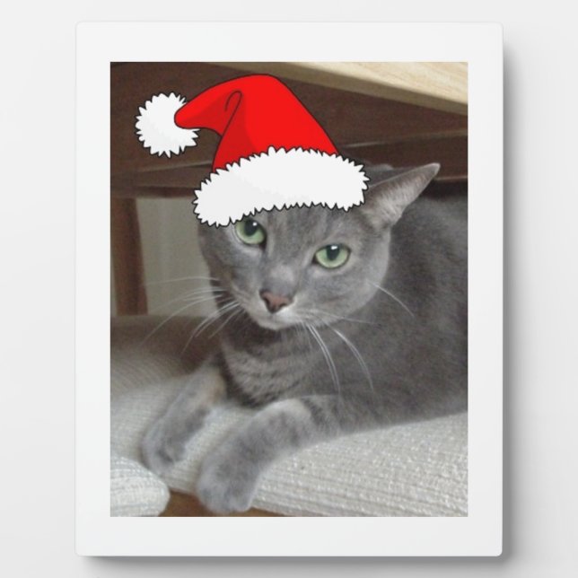 Plaque Photo Russian Blue Cat Christmas (Devant)