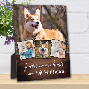 Plaque Photo Rustic Pet Dog Memorial Personnaliser 4 Photo Coll