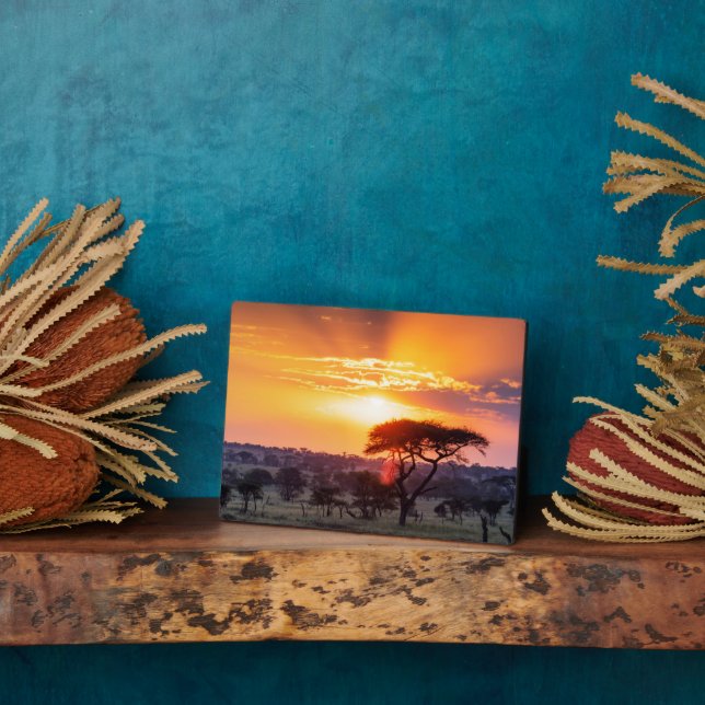 Plaque Photo Safari dans le Parc National du Serengeti (Côté)
