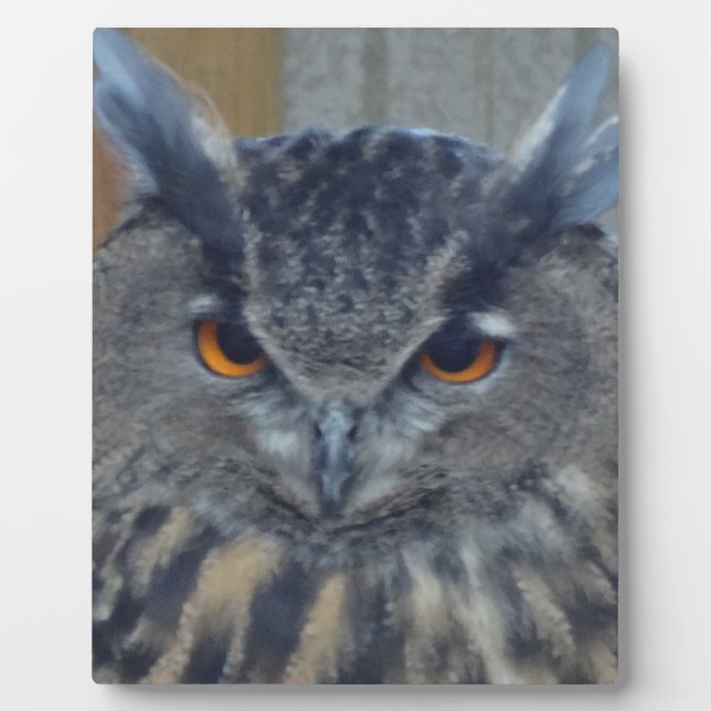 Plaque Photo Sage (Devant)