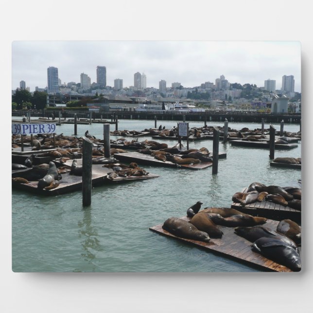 Plaque Photo San Francisco et Pier 39 Sea Lions City Skyline (Devant)