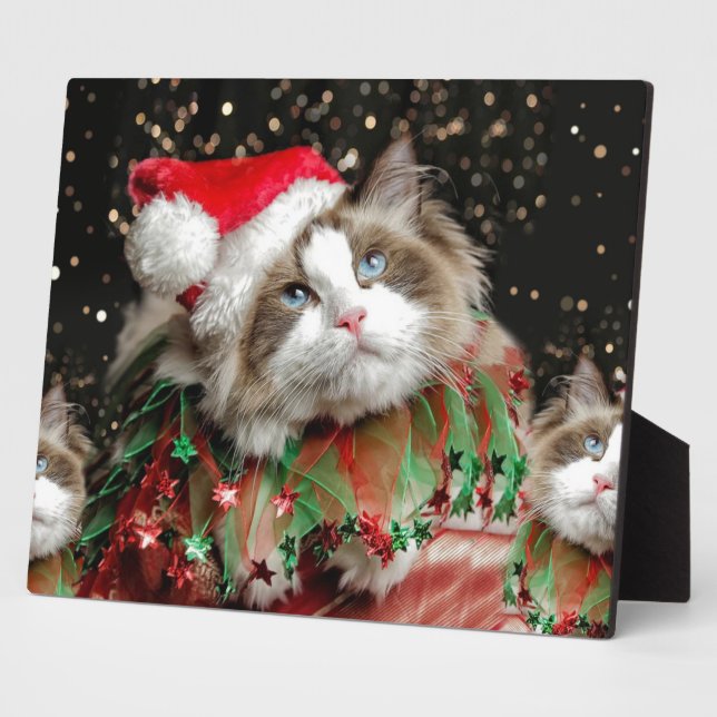Plaque Photo Santa Cat (Côté)