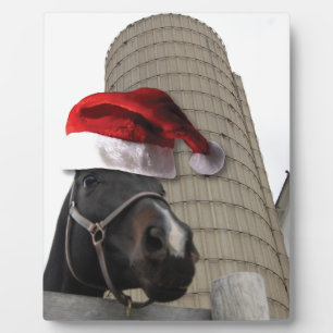 Plaque Photo Santa Hat Horsey
