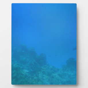 Plaque Photo Scène Arrière - plan sous-marine