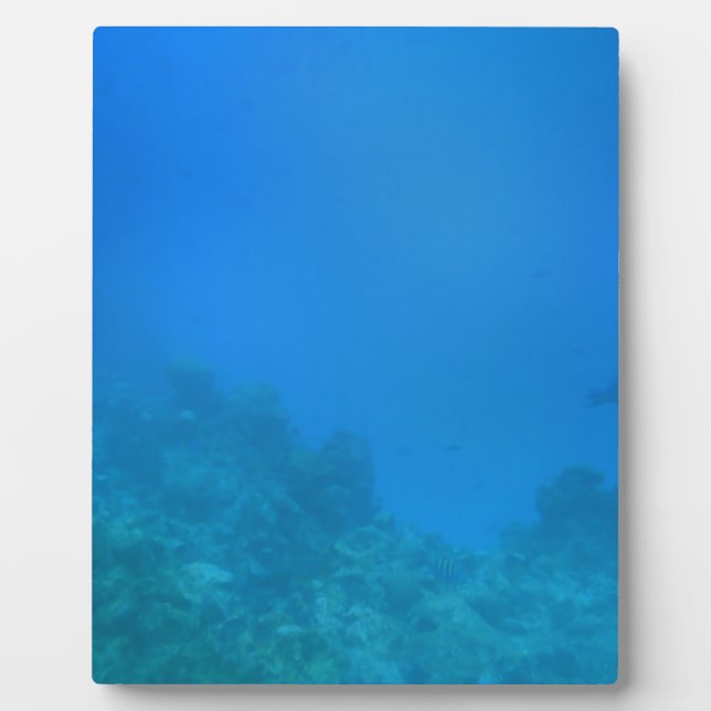 Plaque Photo Scène Arrière - plan sous-marine (Devant)