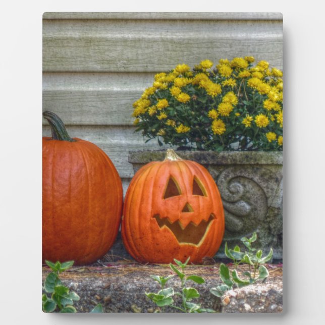 Plaque Photo Scène d'automne (Devant)