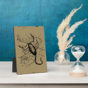 Plaque Photo Scorpio Constellation Hevelius 1690 Engraving