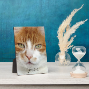 Plaque Photo Script manuscrit de la photo d'animal