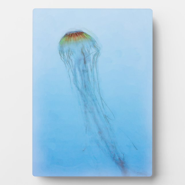 Plaque Photo Sea Nettle (Devant)