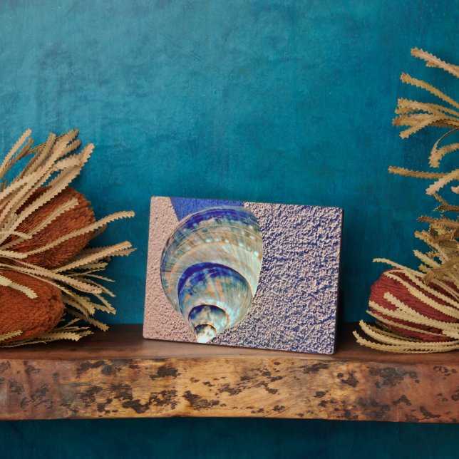 Plaque Photo Sea Welk Seashell (Côté)