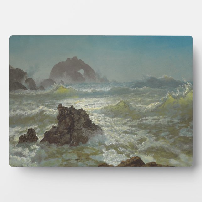 Plaque Photo Seal Rock, Californie, c.1872 (Devant)
