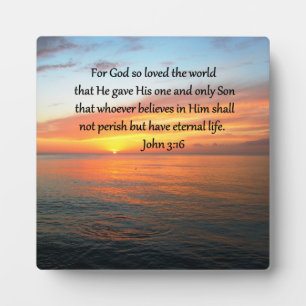 PLAQUE PHOTO SERENE JOHN 3:16 PHOTO DU LEVER