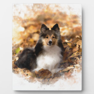 Plaque Photo Sheltie Shetland Sheepdog Art Peinture