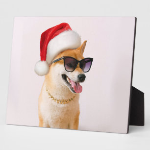 Plaque Photo Shiba Inu dog