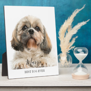 Plaque Photo Shih Tzu personnalisé Photo de chien personnalisée