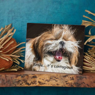 Plaque Photo Shih tzu yawning laughing smile text customize