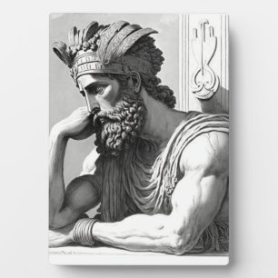 Plaque Photo Signal incorrect