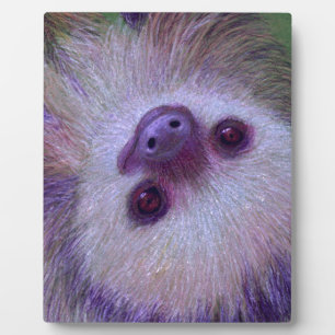 Plaque Photo Sloth