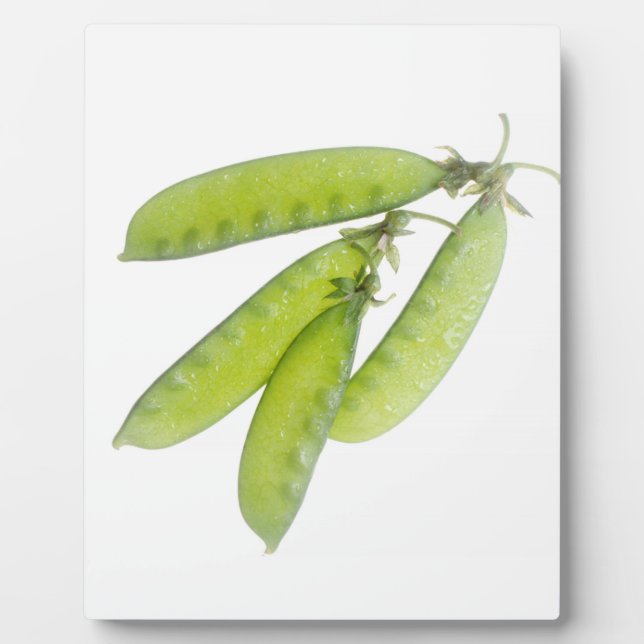 Plaque Photo Snow (Devant)