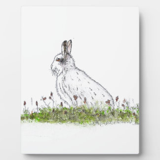 Plaque Photo Snow Hare